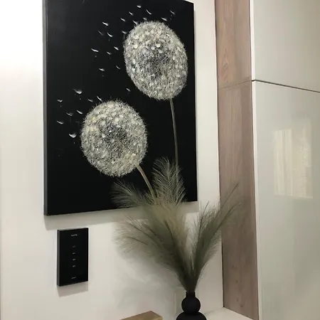 Miio Apartmán